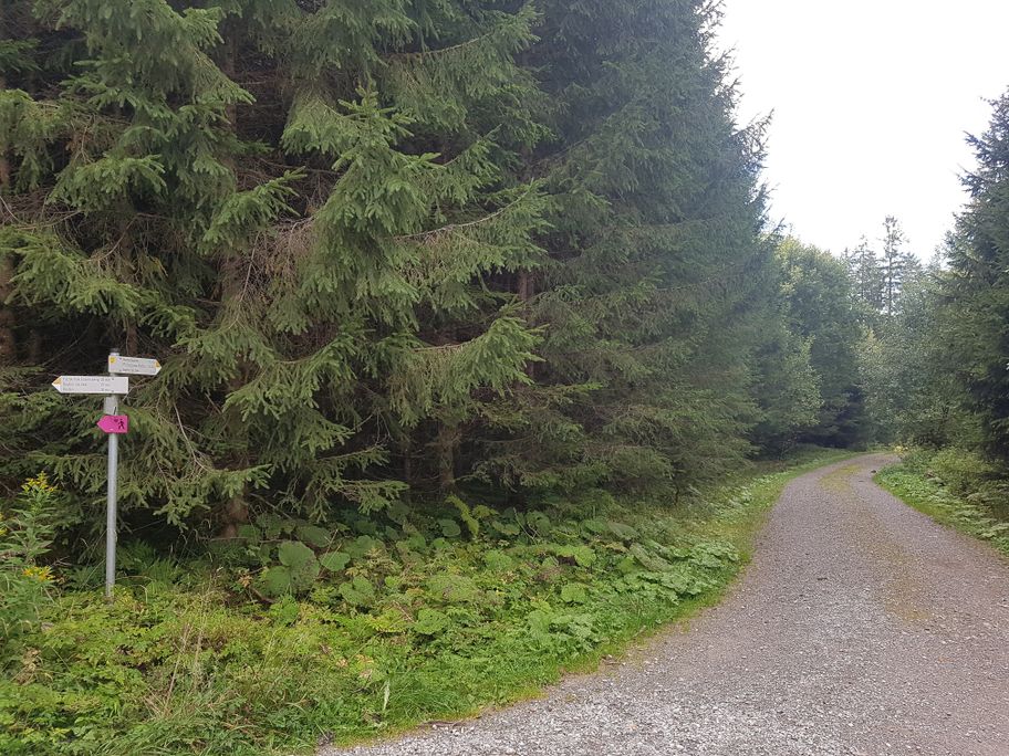 Wegabelung Richtung Burgruine Hopfen
