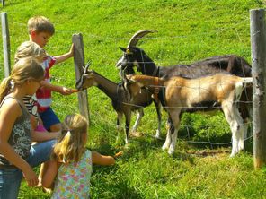 Unsere Gaißen Mutter mit ihren Kindern