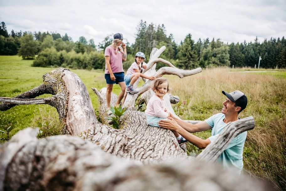 Klettern auf der liegenden Eiche