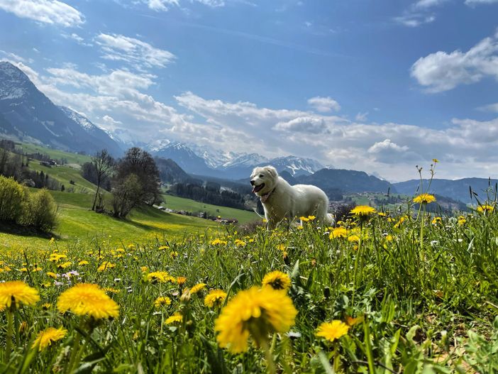 Unsere Umgebung