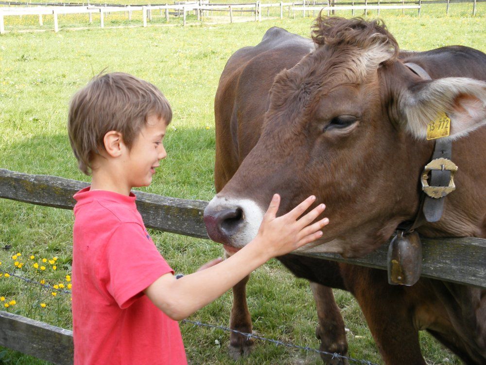 Unser Jungvieh hautnah spüren