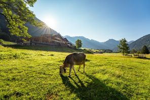 Drohnenaufnahme Sommer