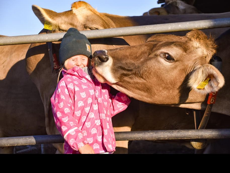 tierliebe