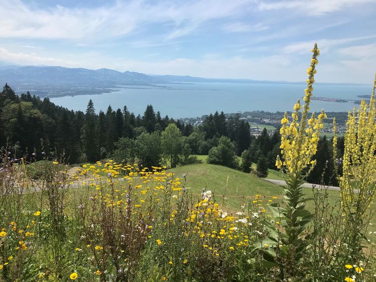 Anstieg über den Eichenberg mit Blick auf den Bodensee