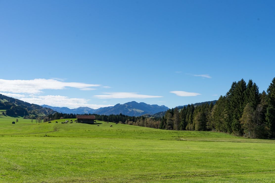 Radrundweg Alpsee-Grünten (Variante Panoramalogen)