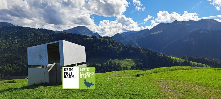 Georunde Rindberg Sibratsgfäll