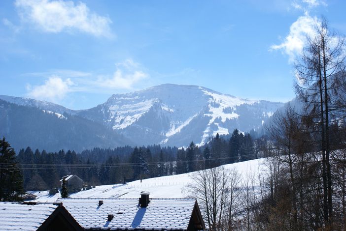 Aussicht auf den Hochgrat