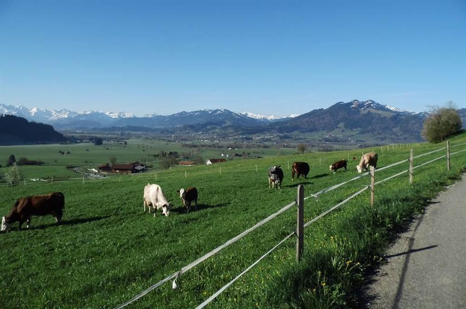 schöner weiter Blick vom Ende unserer Straße