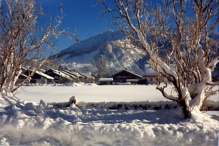 Winter-Ausblick