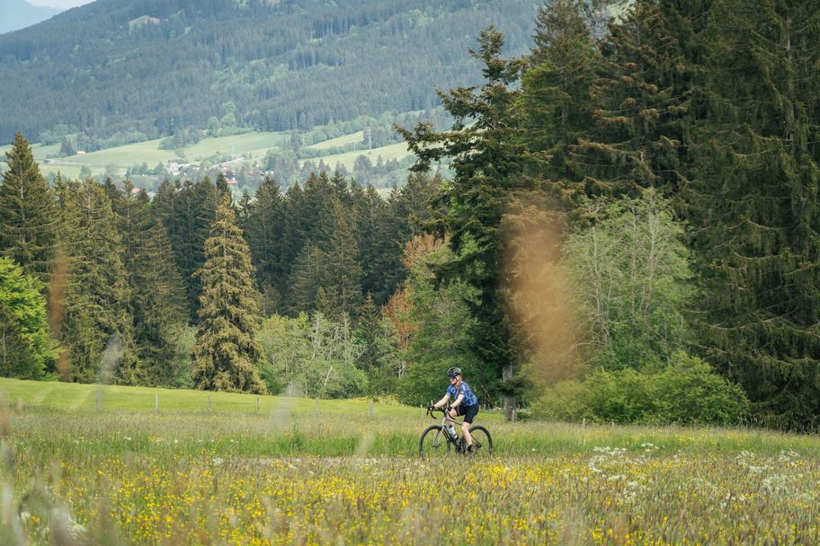 Entlang der schönsten Blumenwiesen