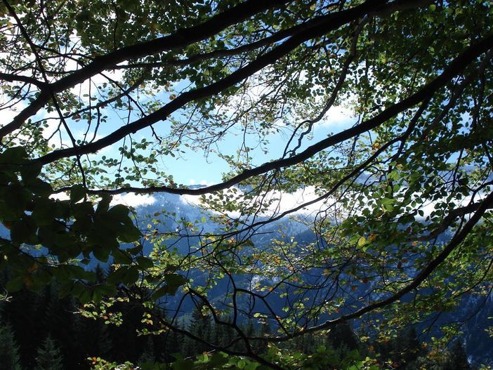 Herbststimmung oberhalb von Hinterstein