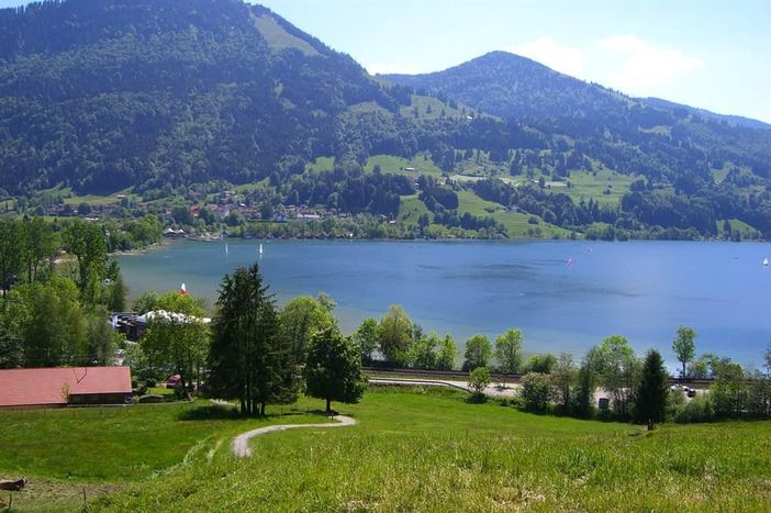 Fussweg zum Alpsee
