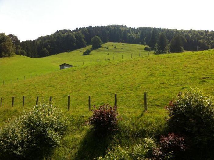 Blick vom Balkon