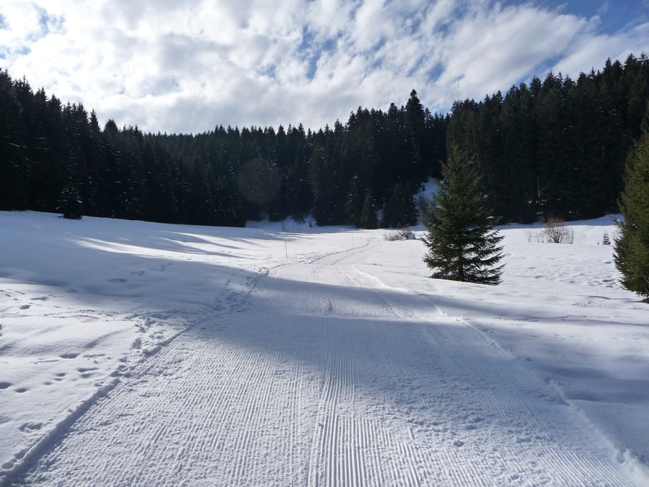 Durch die Stille der Natur