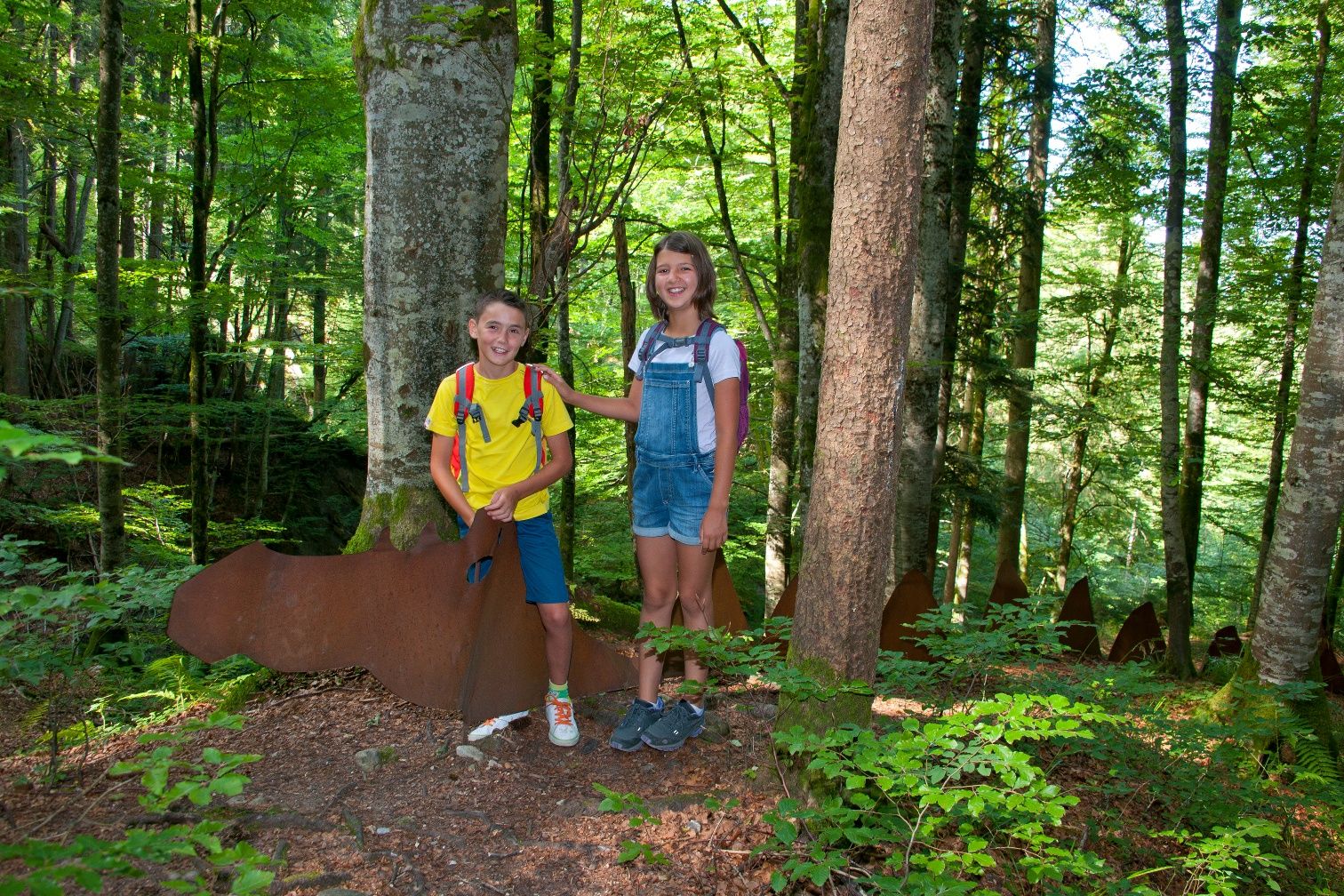 rundwanderweg-ber-obermaiselstein-und-langenwang-oberallg-u