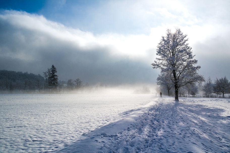 Winterliche Illerauen