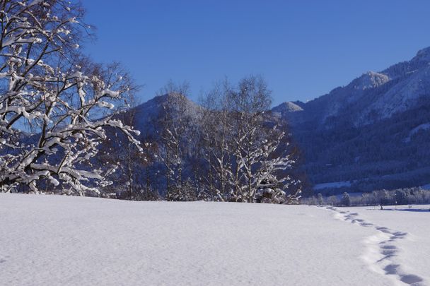 Kurpark Schwangau