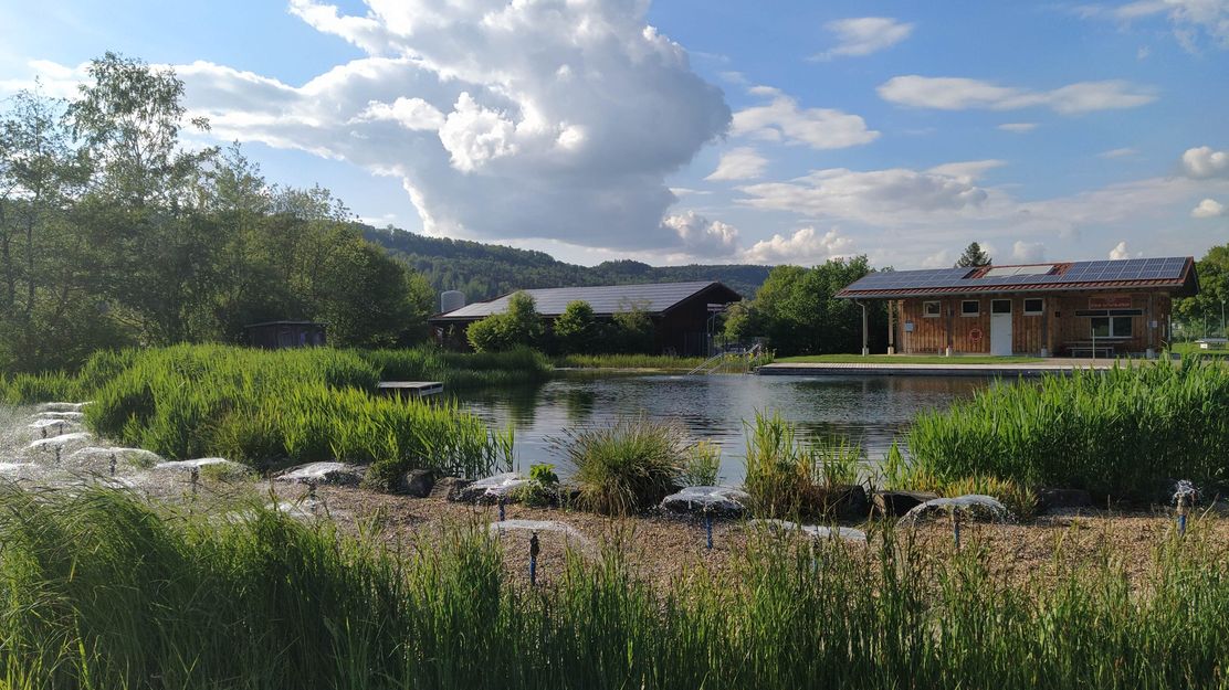 Blick ins WiWalaMoor in Wildpoldsried