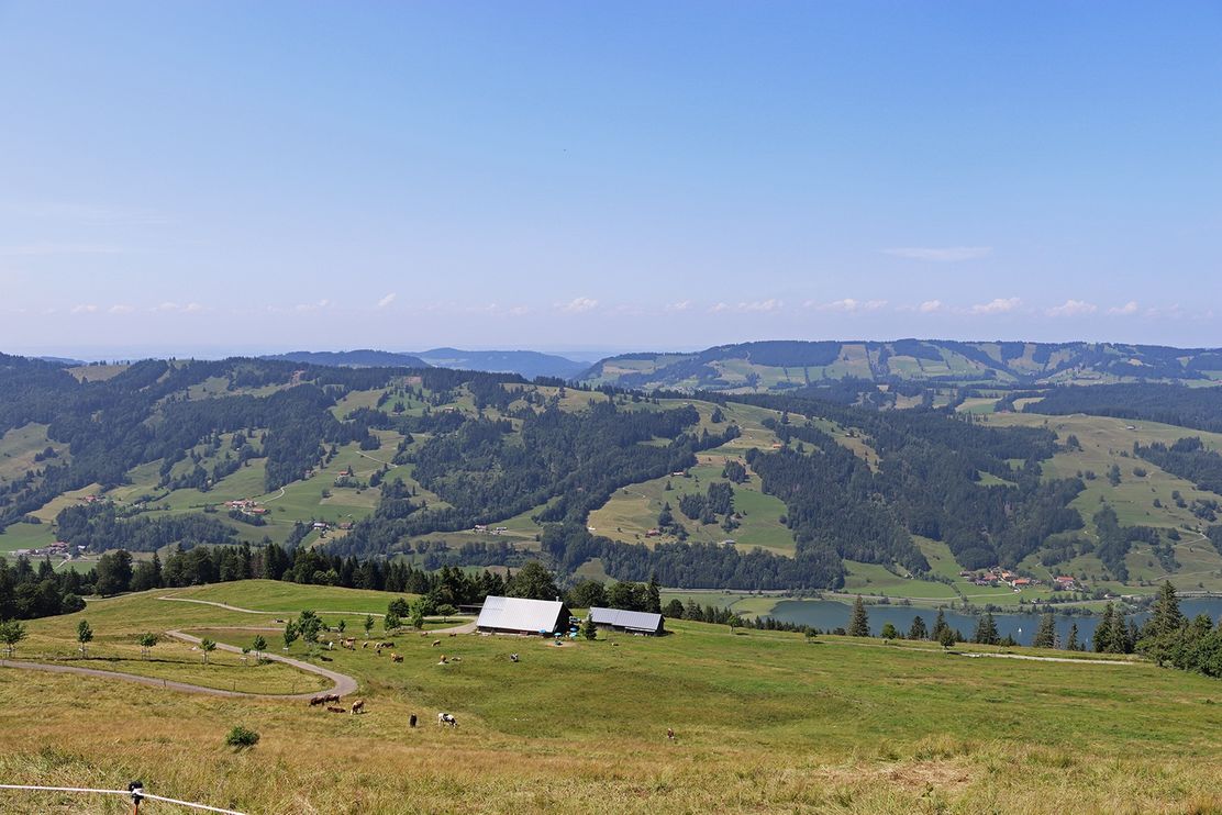 Blick auf Alpe Starkatsgund und den Großen Alpsee