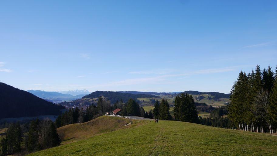 Blick zurück zur Alpe Mohr