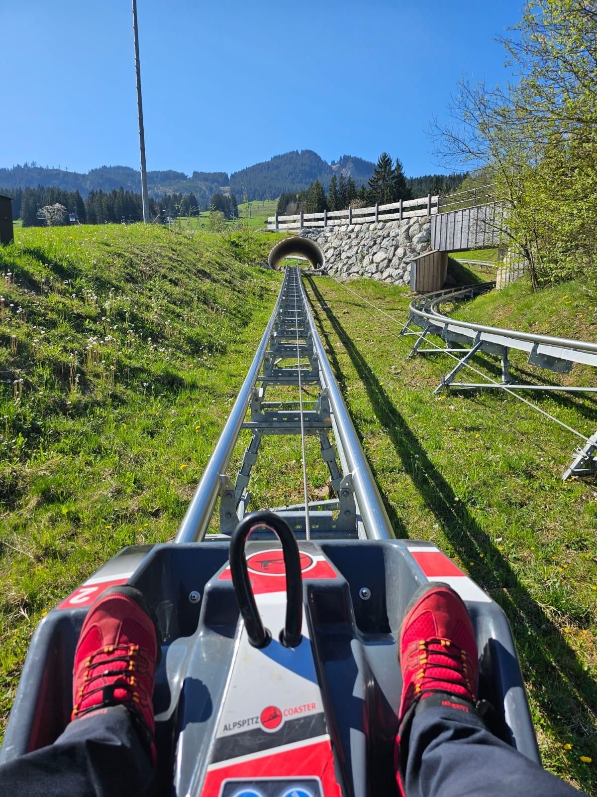 Auf gehts zum Alpspitzcoaster