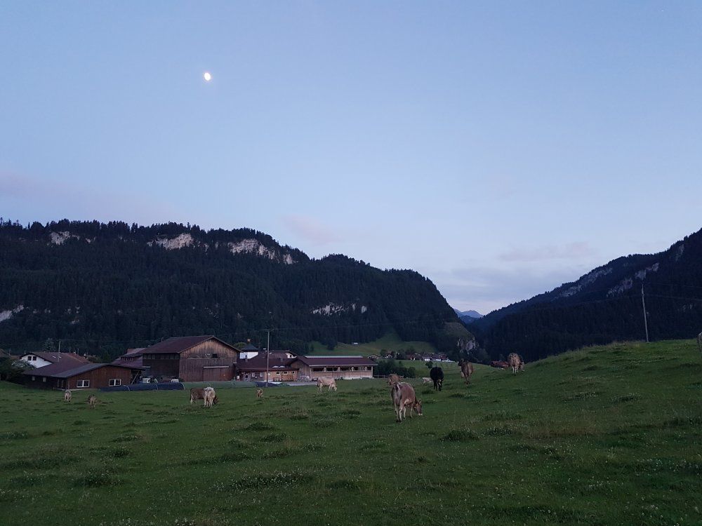 Impressionen