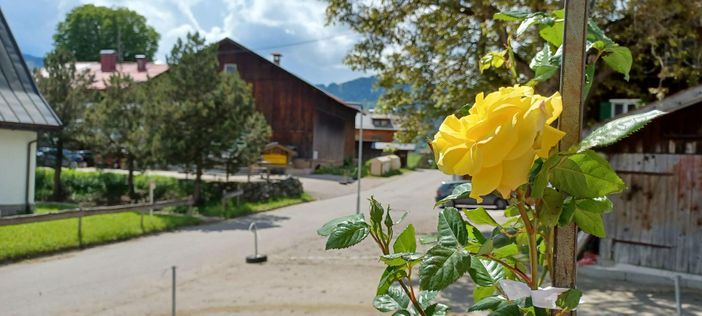 Landhaus Traumblick Sennerei und Cafe Mayr