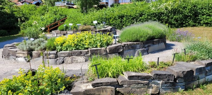 Kräuterspirale Hopfen am See