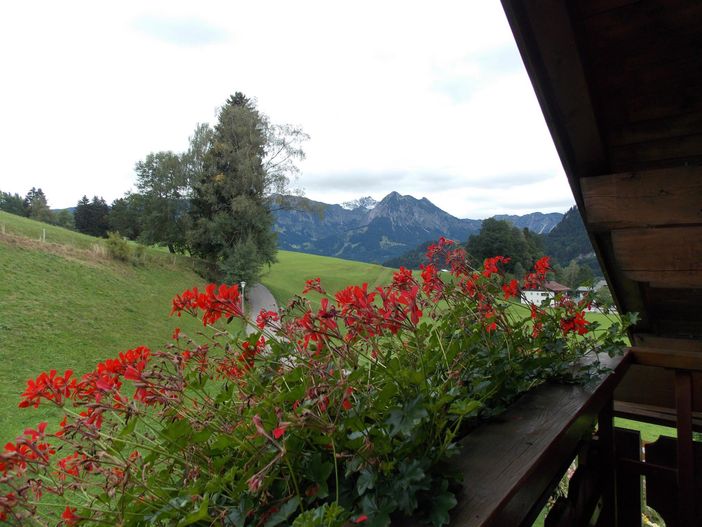 Aussicht Ferienwohnung