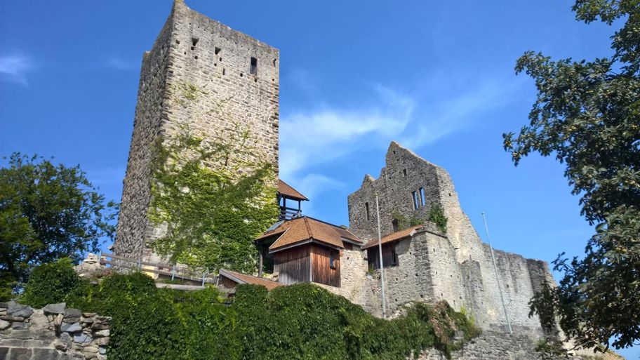 Burgruine Sulzberg