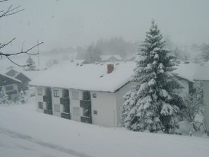 Bild47