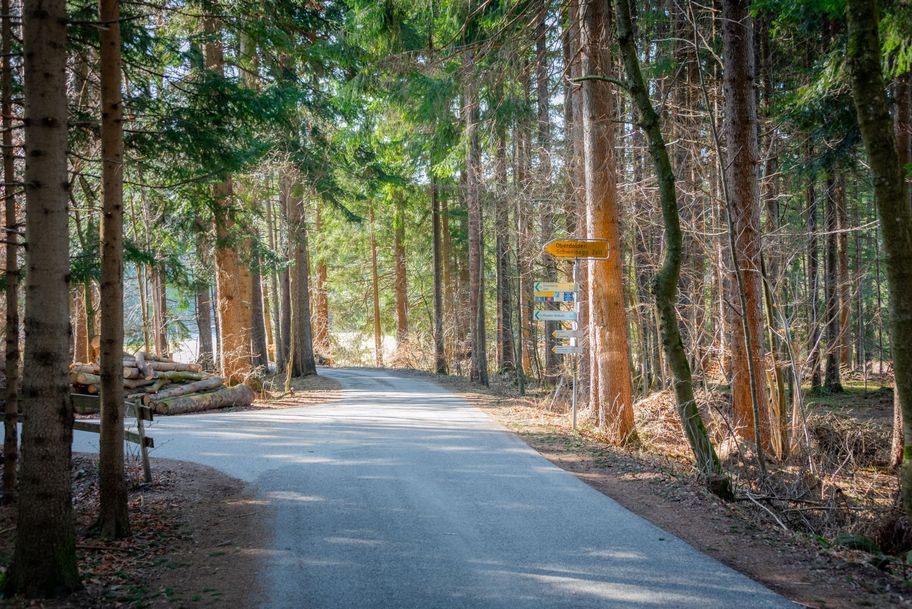 Durch ein kurzes Waldstück am Kögelweiher folgt man dem Weg links bergauf Richtung Oberdolden.