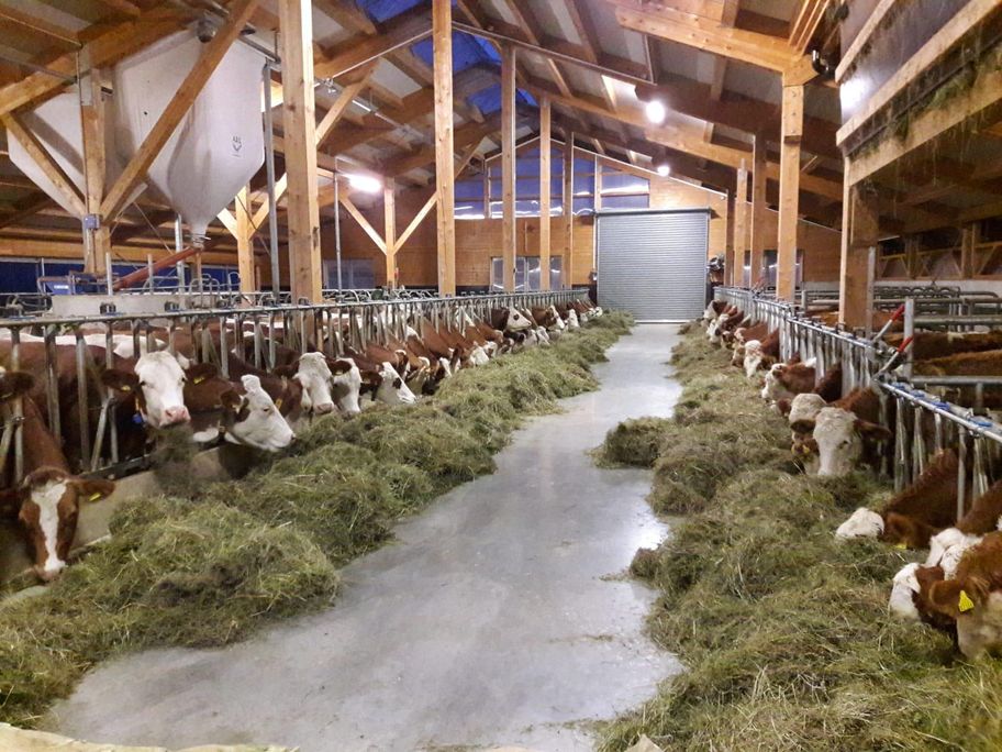 Der moderne Kuhstall von Naturgut Allgäu