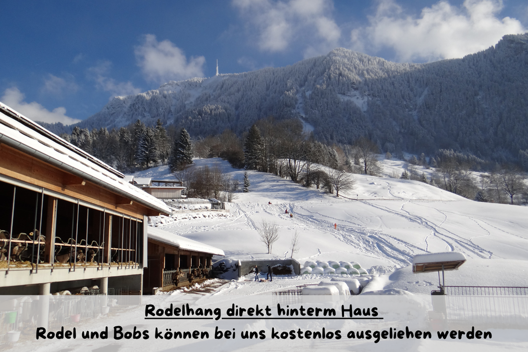 Winter_Rodelhang