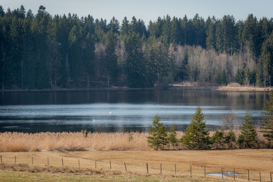 Blick auf den Kögelweiher.