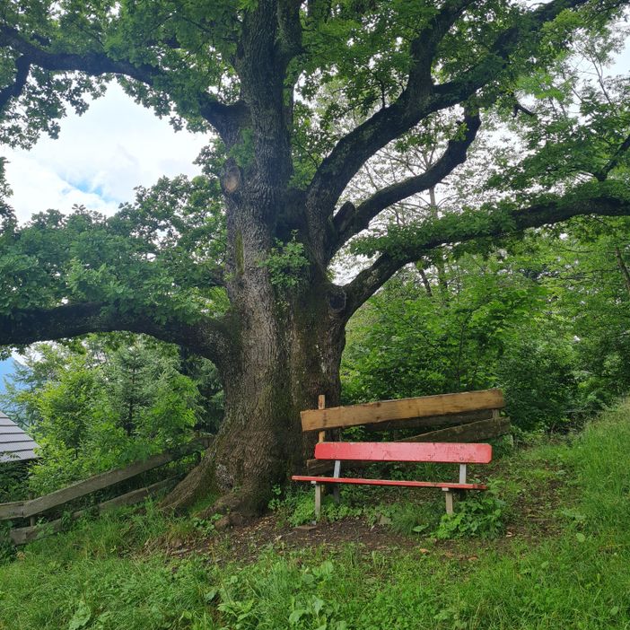 Richtung Falkenstein