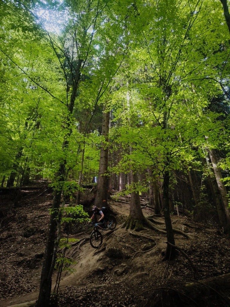 Neulandtrail Bachdurchfahrt