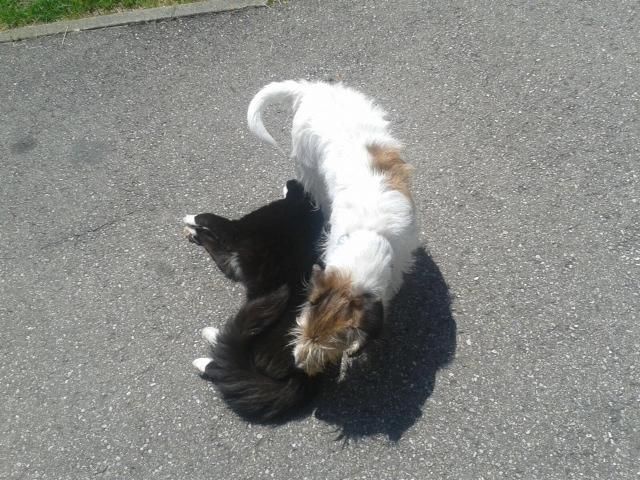Unsere Lieblinge