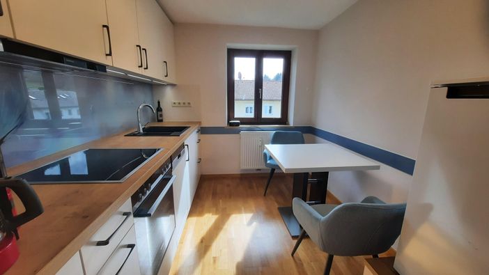 Küche, Kühlschrank ohne Gefrierfach