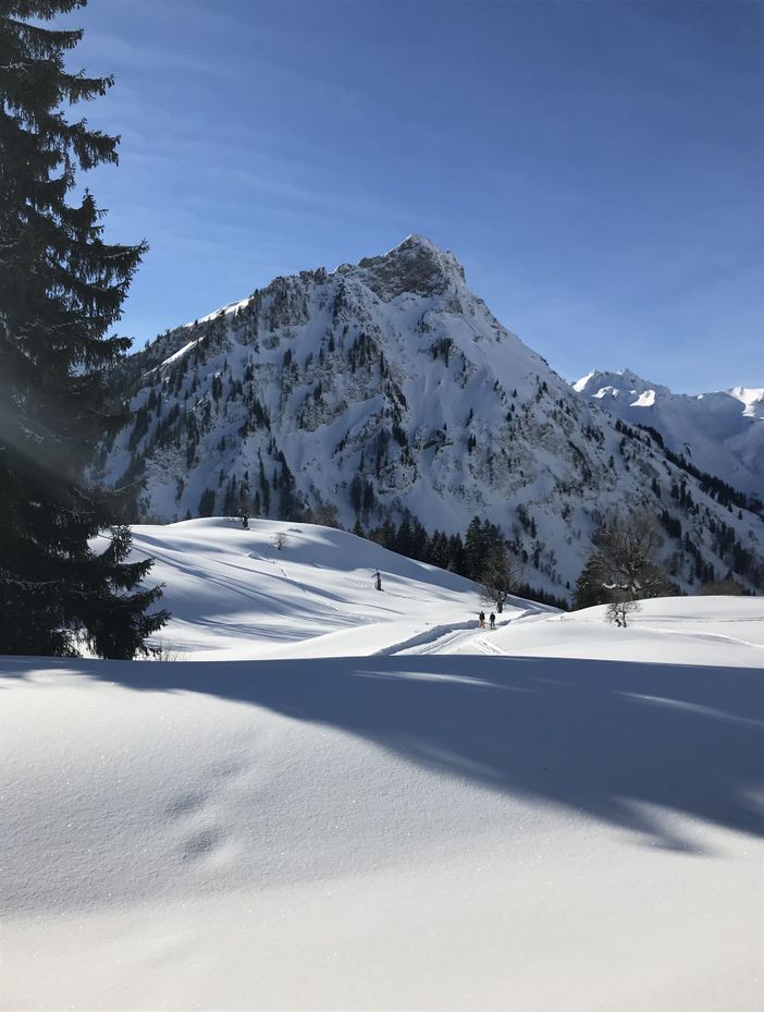 Winterlandschaft