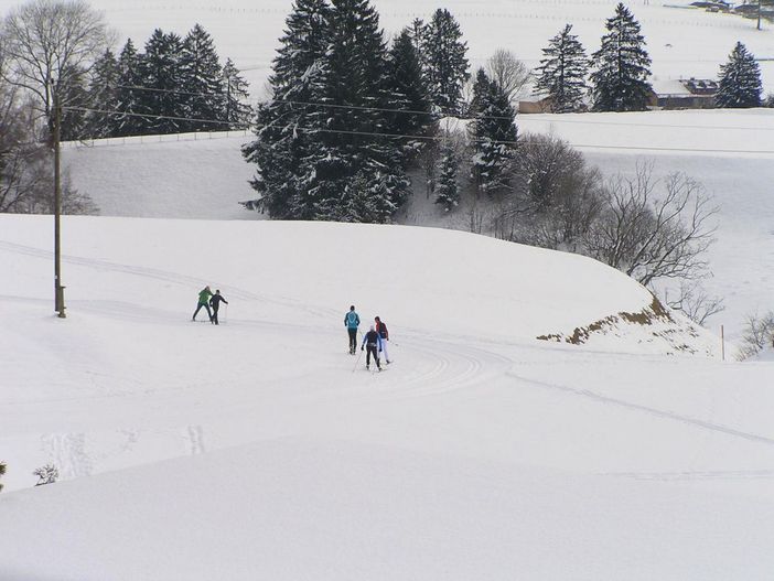 Blick zur Langlaufloipe