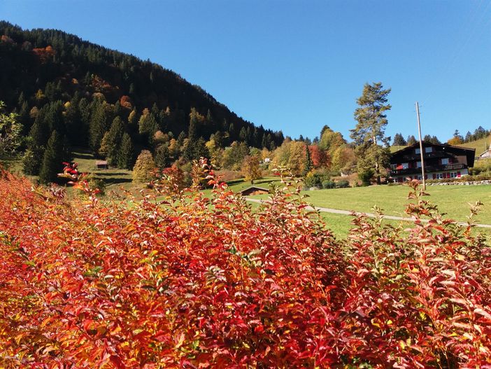Schöner Herbst