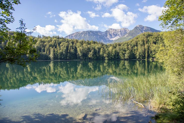 Alatsee im Allgäu