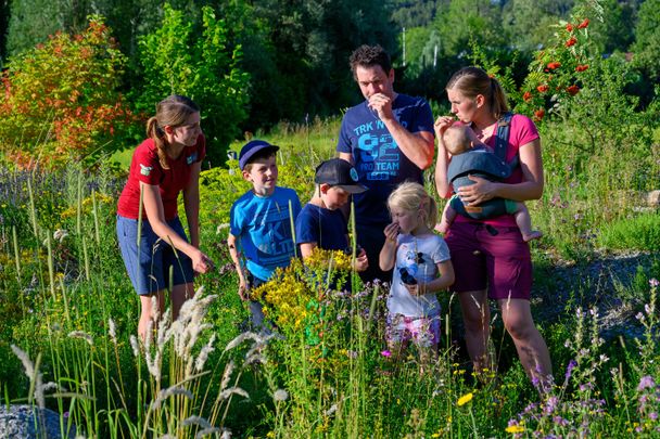 Vom Naturparkzentrum in Immenstadt-Bühl zum Forschertümpel: Entdecke den Landschaftspark