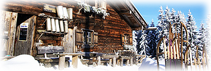 alpe winter mit schlitten