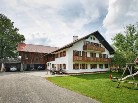 Ammersinn_Rinder_Wald_014