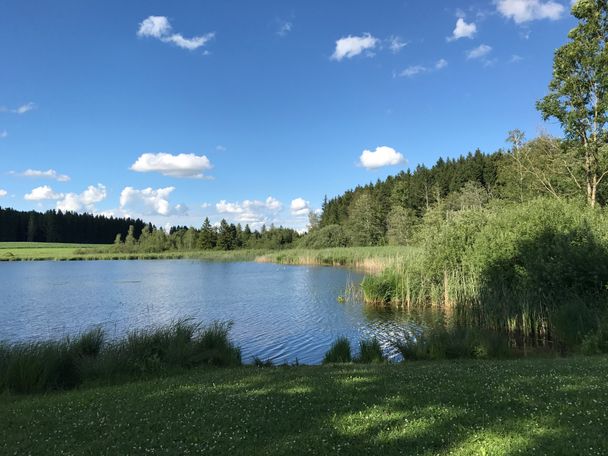 Kuhstallweiher