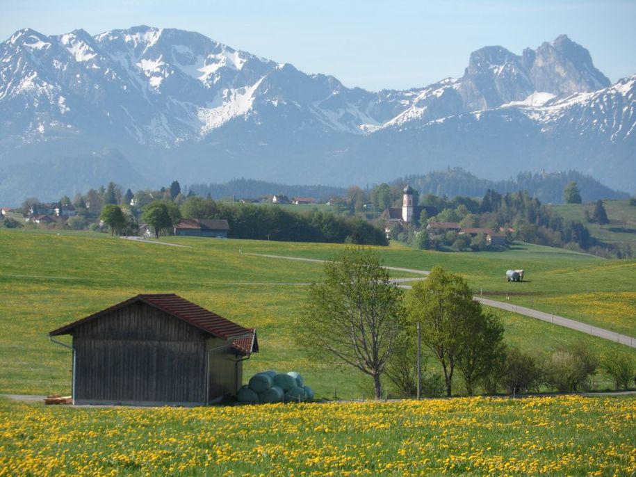 Frühlingserwachen