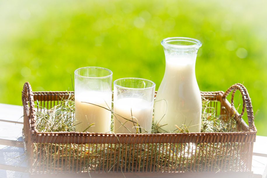 264_Milch_220324