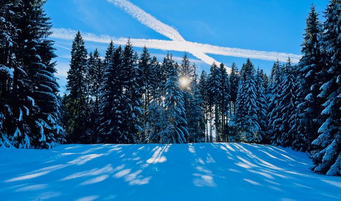Sonne auf dem Winterwanderweg
